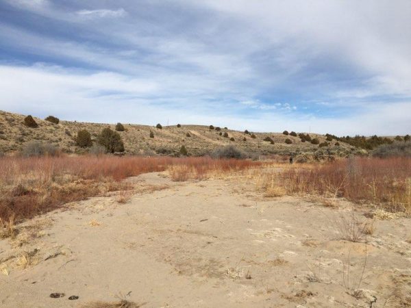 Site 10 - Sandy Bend - Image 8