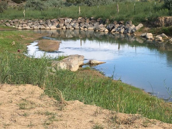 Site 10 - Sandy Bend